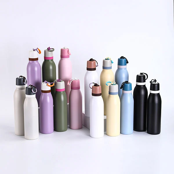 Stainless Steel Bottle